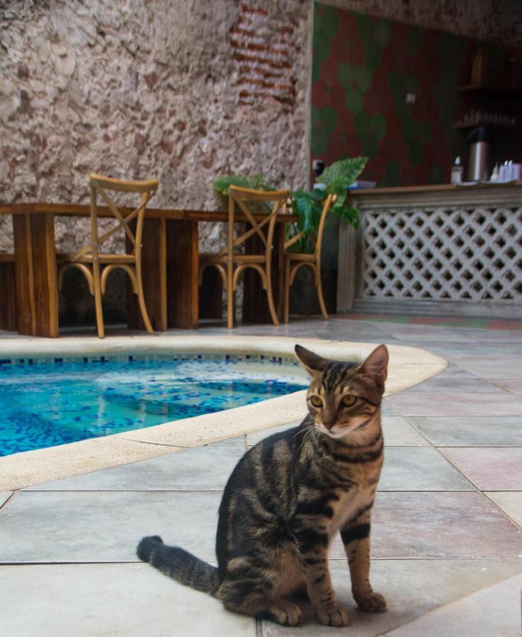 Hotel Casa Zahri Boutique *